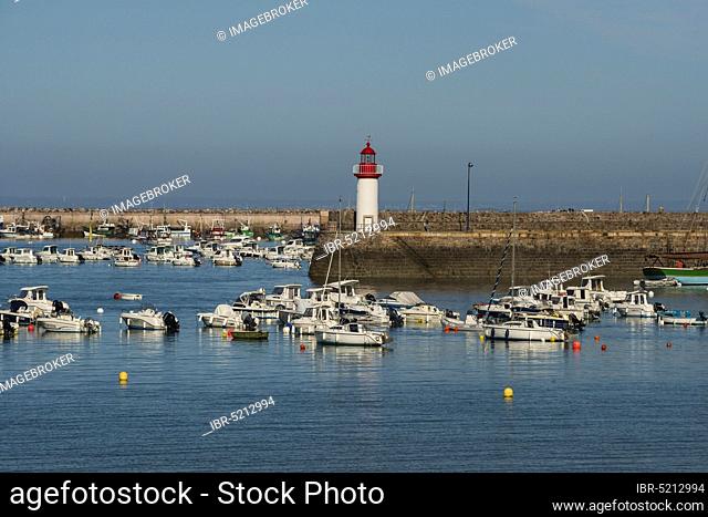 Marina and lighthouse, Erquy, Brittany, France, Europe