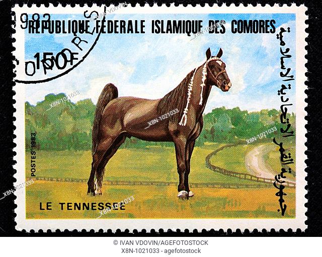 Tennessee Walker horse, postage stamp, Comoros, 1983