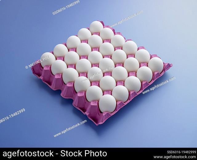 White eggs in pink carton against blue background