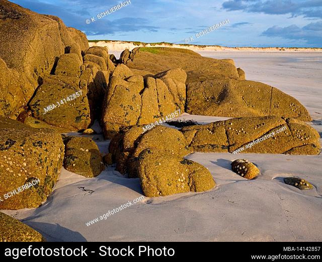 europe, republic of ireland, galway, connemara, dog's bay, sandy beach with granite stones