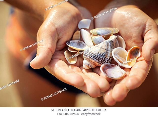shells in the hand of a child