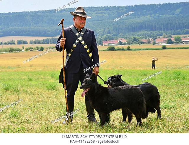 Shepherd Bernd Angelroth stands with shepherd dogs during the 22nd Thuringian Shepherd Festival in Hohenfelden,  Germany, 03 August 2013