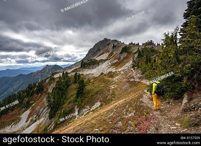 Hikers on a trail, autumn mountain landscape, Denman Peak in the back, Mount Rainier National Park, Washington, USA, North America