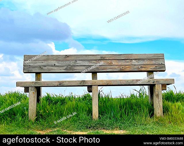 Wooden bench on grass