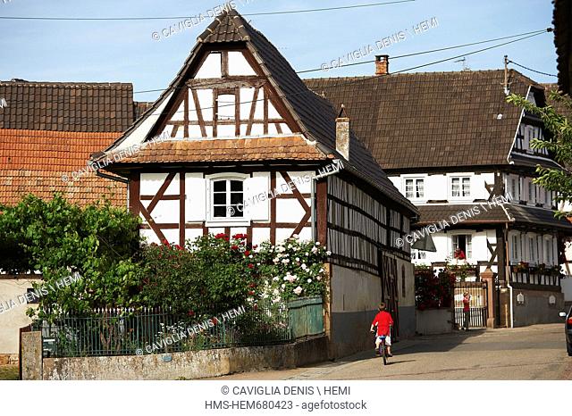 France, Bas Rhin, Hunspach, labeled Les Plus Beaux Villages de France The Most Beautiful Villages of France, White typical half timbered house