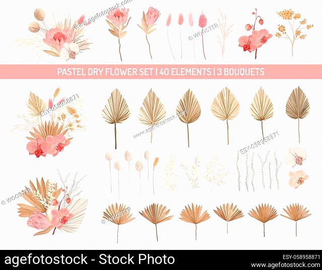 Elegant dry protea flowers, palm leaves, pale orchid, eucalyptus, dried tropical leaves, floral elements. Trendy winter, autumn wedding bouquets