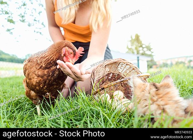 Girl with chicken and cat on farm collecting the eggs