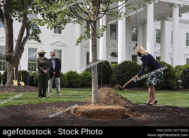 First Lady Jill Biden plants a Linden Tree on the North Lawn of the White House in Washington, DC, on April 30, 2021, to mark Arbor Day