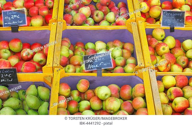 Variety of fresh apples and pears in wooden crates at market stall, Oldenburg, Lower Saxony, Germany