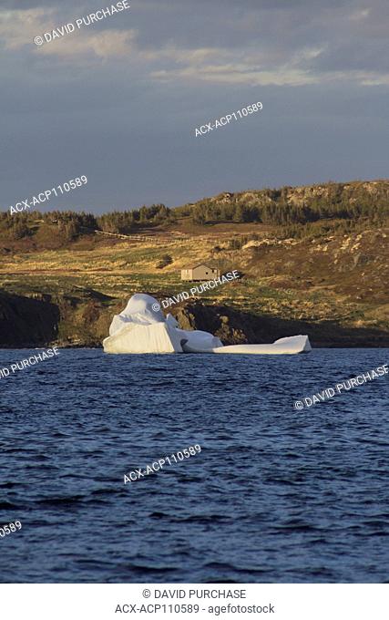 Iceberg, wild cove, Twillingate, New world Island Newfoundland & Labrador