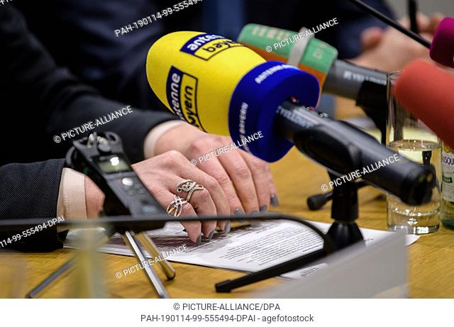 14 January 2019, Bavaria, München: Rings can be seen on the fingers of Tessa Ganserer (Bündnis 90/Die Grünen) during a press conference on the future...