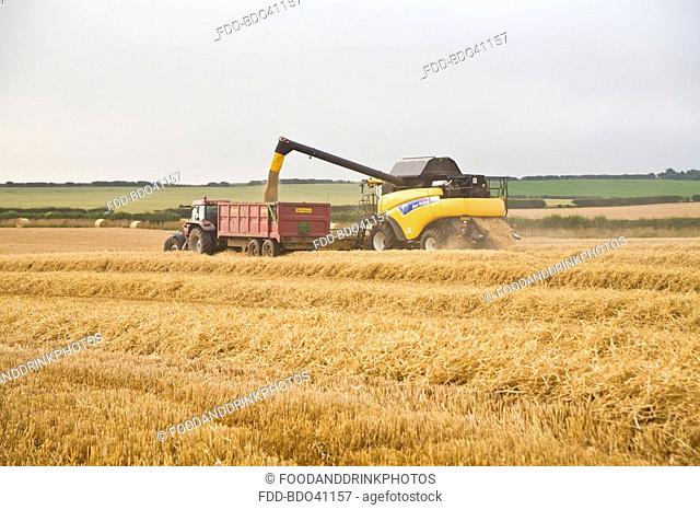 Harvester/ combine