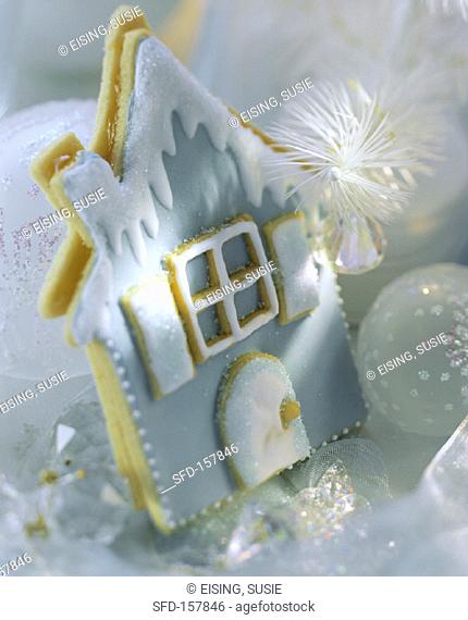 Winter House Cookie