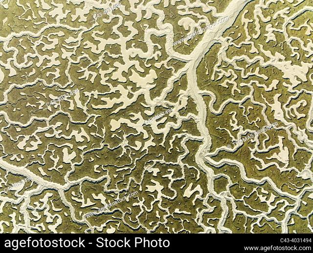 Network of dry channels and streams at low tide. In the marshland of the Bahía de Cádiz. Aerial view. Drone shot. Cádiz province, Andalusia, Spain