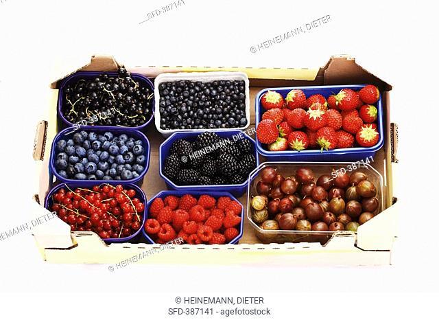 Various types of berries in plastic containers in cardboard box