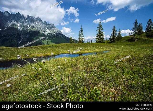 mountain pond with wilder kaiser range reflecting in water, tirol - austria