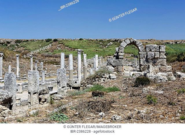 Ruins and columns along colonnaded main street in the excavation site in the ancient city of Perge, Aksu, Turkish Riviera, Antalya, Turkey, Asia