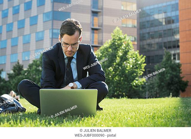 Businessman sitting on meadow using laptop