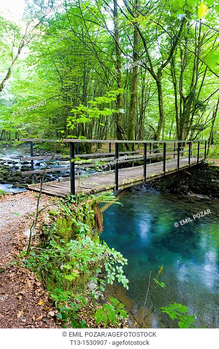 Forest footbridge, river Curak, 'Zeleni vir' protected park near Skrad in Croatia