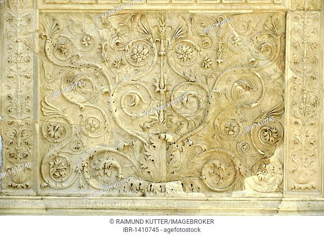 Ornamental relief with flora and fauna, Altar of Augustan Peace, Ara Pacis Augustae, eastside, Rome, Lazio, Italy, Europe