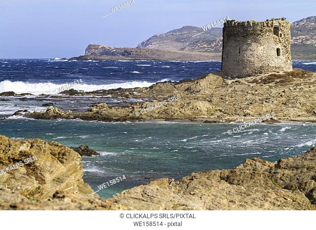 View of La Pelosa old tower and beach in Stintino, Sassari province, Sardinia, Italy, Europe