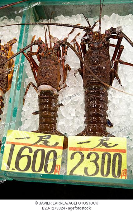 Lobster, Tsukiji fish market, Tokyo, Japan