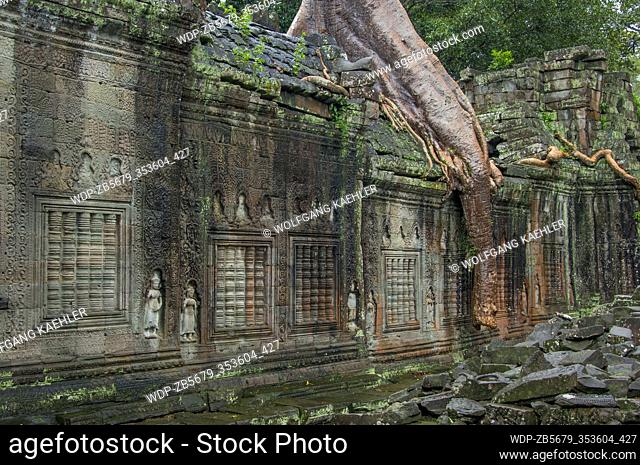 Fig trees growing out of the ruins of Preah Khan Temple in the Angkor Wat Archeological Park near Siem Reap in Cambodia