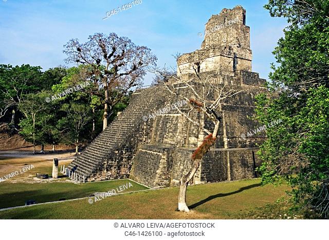Temple II  Mayan ruins of Tikal  Peten region, Guatemala