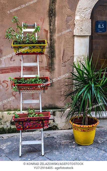 Flower pots on the Ortygia island, historical part of Syracuse city, southeast corner of the island of Sicily, Italy