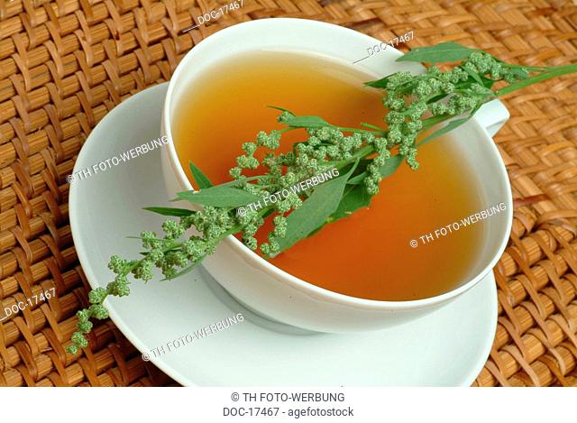 tea made of Mugwort - Wegwood - medicinal tea - herbtea - Artemisia vulgaris - Amarella - te