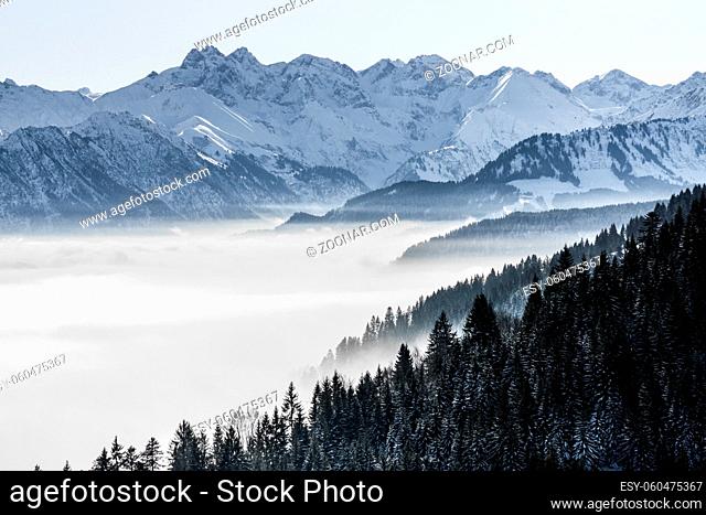 Wooded mountain slope and mountain range with snow in low lying valley fog with silhouettes of evergreen conifers shrouded in mist