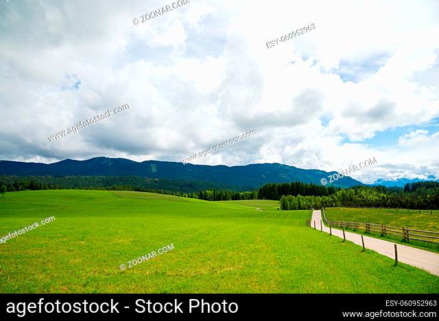 Narrow road passing through a green field in the Bavarian Alps, Germany