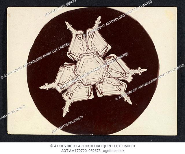 [Snow Crystal], 1890sâ€“1920s, Gelatin silver print, Image: 2 15/16 Ã— 3 1/8 in. (7.4 Ã— 7.9 cm), Photographs, Wilson Alwyn Bentley (American, 1865â€“1931)