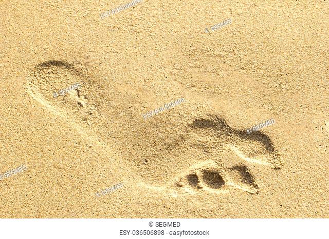 A single footprint left on the sand