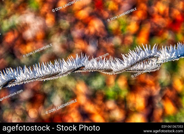 Frost covered wire fence in Stowe Vermont USA