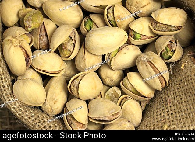 Pistachio (Pistacia vera), fruit, nuts, with shell, unpeeled, Germany, Europe