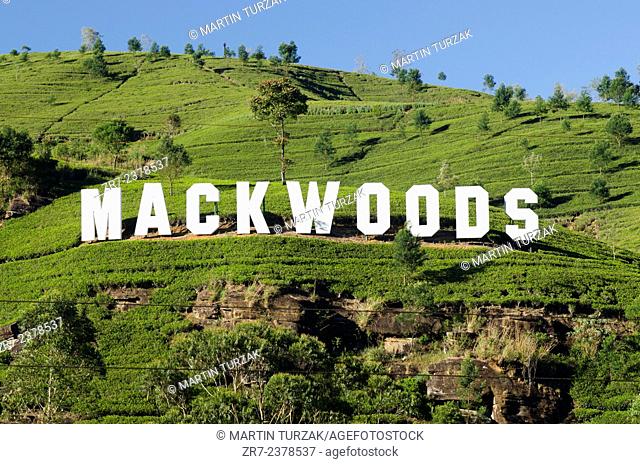 Mackwoods tea estate near Nuwara Eliya, Sri Lanka