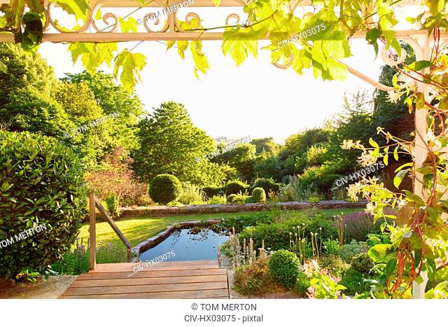 Tranquil, sunny summer green garden with swimming pool