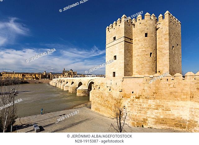 Calahorra Tower Roman bridge and Mezquita cathedral Cordoba Andalusia Spain