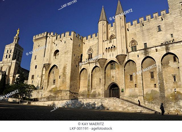 Papal Palace and the cathedral Notre-Dame-des-Doms, Palais des Papes, Avignon, Vaucluse, Provence, France, Europe