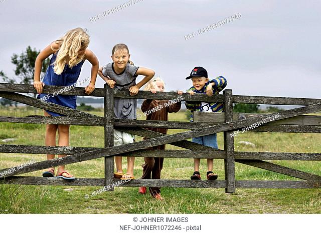 Children standing next to wooden gate