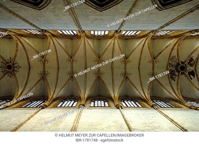 Gothic ceiling vault of Ulm Minster, Muensterplatz square, Ulm, Baden-Wuerttemberg, Germany, Europe