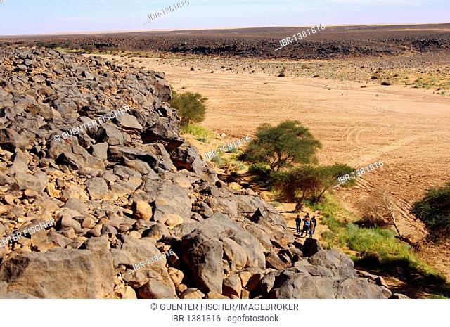 Overlooking a dry river valley in Wadi Mathendous in stony Mesak Settafet plateau, Fezzan, Libya, Africa