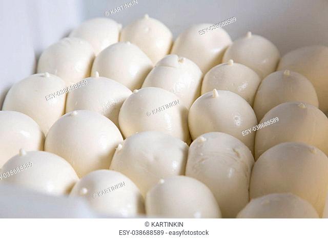Fresh mozzarella cheese heads lying in a boxes on a production