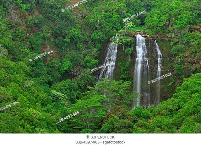Waterfall in a forest, Opaekaa Falls, Wailua Valley, Kauai, Hawaii, USA