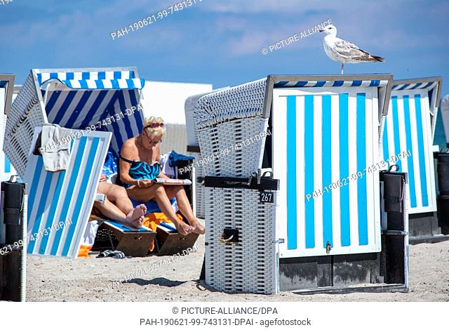 21 June 2019, Mecklenburg-Western Pomerania, Rostock: A seagull stands on an empty beach chair on the Baltic coast of Warnemünde
