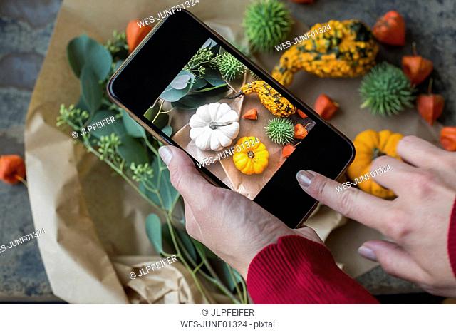 Autumnal decoration, ornamental pumpkins, woman taking photo with smartphone