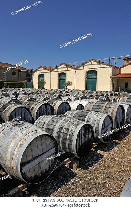 barrels of Noilly-Prat wine at Marseillan, Herault department, Languedoc-Roussillon region, France, Europe