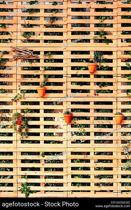 Unusual interior design - a wall of wooden pallets with flower pots. High quality photo