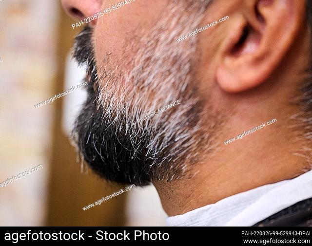 24 August 2022, Berlin: A man wears a full beard while sitting at the barber's. (To dpa: ""Hairy thing: records and interesting facts about beards"") Photo:...